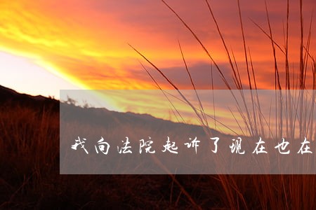 我向法院起诉了现在也在执行了 我向法院起诉了现在也在执行了