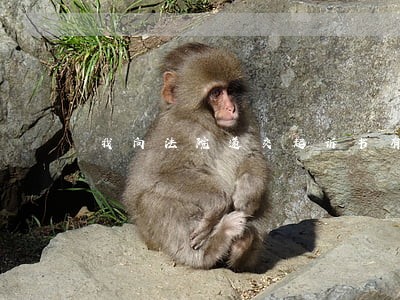 我向法院递交起诉书有一个多月了 我向法院递交起诉书有一个多月了