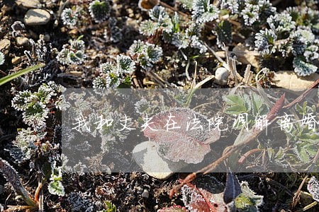 我和丈夫在法院调解离婚