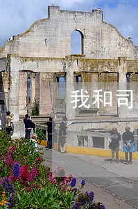 我和司法鉴定征文怎么写 我和司法鉴定征文怎么写