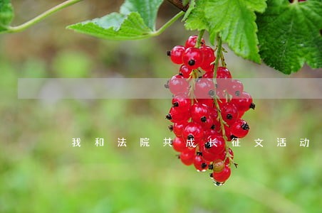 我和法院共成长征文活动通知 我和法院共成长征文活动通知