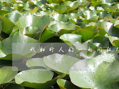 我和行人们一起闯红灯违法吗 我和行人们一起闯红灯违法吗