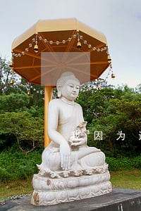 我因为违法服刑 我因为违法服刑
