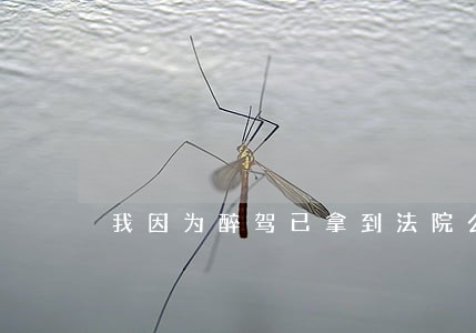 我因为醉驾已拿到法院公诉书 我因为醉驾已拿到法院公诉书