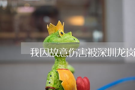 我因故意伤害被深圳龙岗法院判刑 我因故意伤害被深圳龙岗法院判刑
