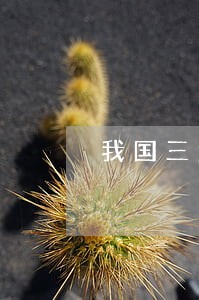 我国三大诉讼证明标准的多元化 我国三大诉讼证明标准的多元化