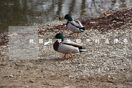 我国与学生相关的法律条文