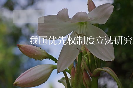 我国优先权制度立法研究 我国优先权制度立法研究