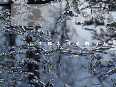 我国体制改革的目标与内容 我国体制改革的目标与内容