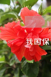 我国保密法律制度合 我国保密法律制度合