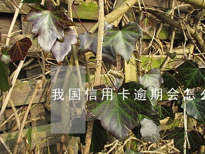 我国信用卡逾期会怎么样 我国信用卡逾期会怎么样