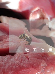 我国信用卡逾期总额 我国信用卡逾期总额