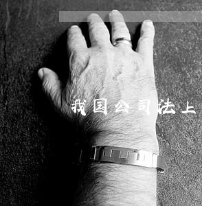 我国公司法上的公司资本制度 我国公司法上的公司资本制度