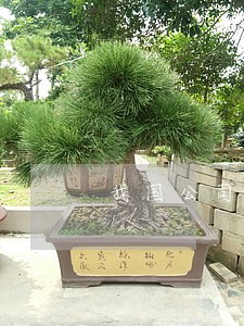 我国公司法举行的设立原则是 我国公司法举行的设立原则是