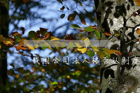 我国公司法人格否认制度 我国公司法人格否认制度