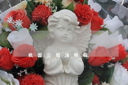 我国公司法所称