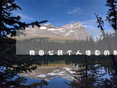 我国公民个人信息的刑法保护研究 我国公民个人信息的刑法保护研究