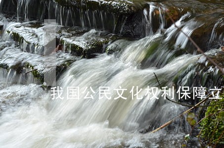 我国公民文化权利保障立法研究 我国公民文化权利保障立法研究