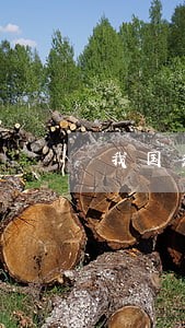 我国关于交付的立法规定 我国关于交付的立法规定