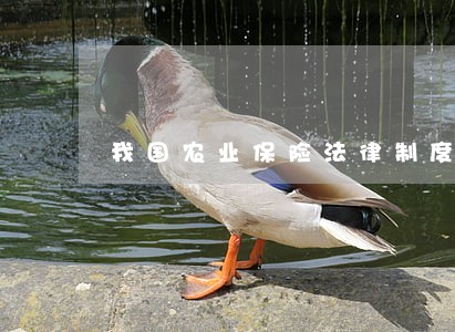 我国农业保险法律制度完善建议