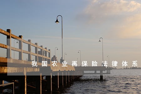 我国农业再保险法律体系的构建