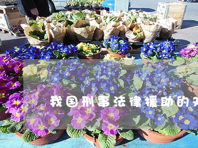 我国刑事法律援助的对象 我国刑事法律援助的对象