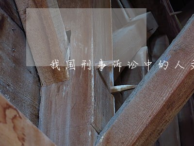 我国刑事诉讼中的人文关怀 我国刑事诉讼中的人文关怀