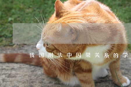 我国刑法中因果关系的学说评析 我国刑法中因果关系的学说评析