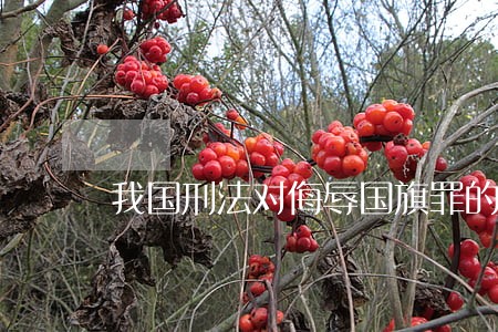 我国刑法对侮辱国旗罪的立案规定 我国刑法对侮辱国旗罪的立案规定
