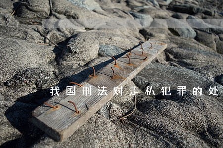 我国刑法对走私犯罪的处罚是什么 我国刑法对走私犯罪的处罚是什么