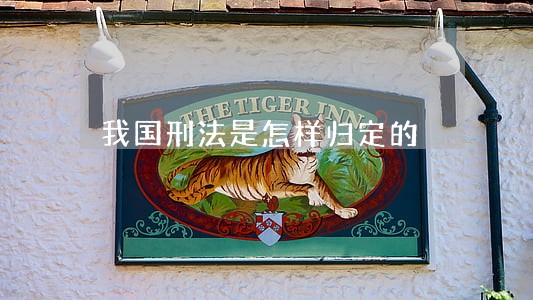 我国刑法是怎样归定的 我国刑法是怎样归定的