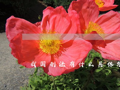 我国刑法有什么具体规定呢