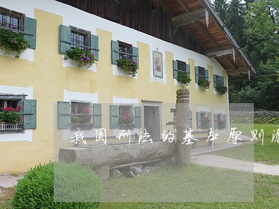 我国刑法的基本原则派生原则 我国刑法的基本原则派生原则