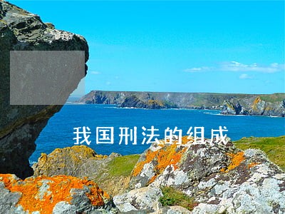 我国刑法的组成 我国刑法的组成