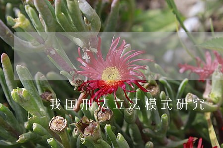 我国刑法立法模式研究 我国刑法立法模式研究