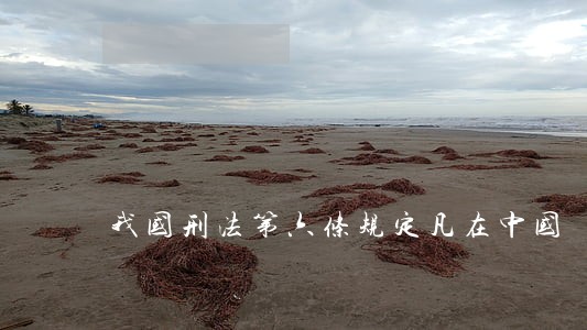 我国刑法第六条规定凡在中国