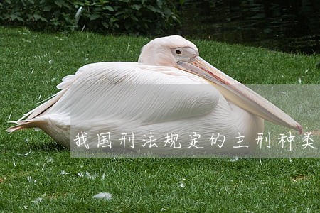 我国刑法规定的主刑种类包括哪些 我国刑法规定的主刑种类包括哪些