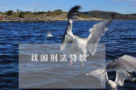 我国刑法贷款 我国刑法贷款