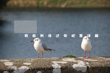 我国刑法过失犯罪详解 我国刑法过失犯罪详解