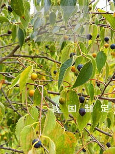 我国制定的法律法规有哪些
