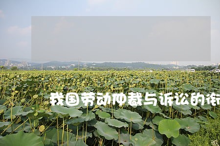 我国劳动仲裁与诉讼的衔接及协调 我国劳动仲裁与诉讼的衔接及协调