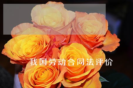 我国劳动合同法评价 我国劳动合同法评价