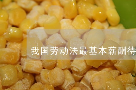 我国劳动法最基本薪酬待遇 我国劳动法最基本薪酬待遇