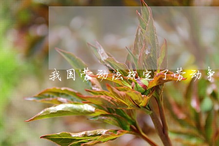 我国劳动法规定了劳动争议可以 我国劳动法规定了劳动争议可以