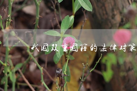 我国双重国籍的法律对策研究 我国双重国籍的法律对策研究