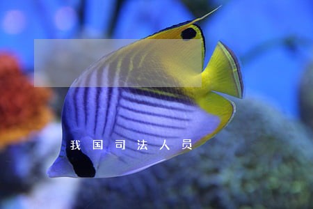 我国司法人员 我国司法人员