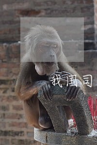 我国司法人工智能研究所 我国司法人工智能研究所