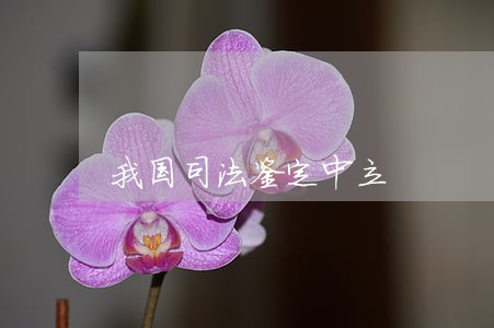 我国司法鉴定中立 我国司法鉴定中立