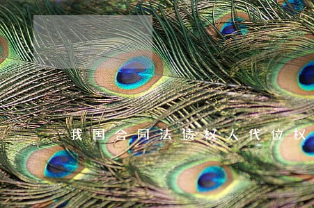 我国合同法债权人代位权制