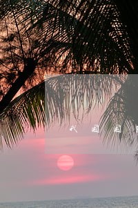我国国防教育法规定每年九月